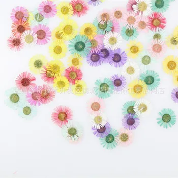 Ihla chryzantéma sun flower sušené kvety stlačené kvetu rastlín vzorky HOBBY ručné mobilný telefón shell card Epoxidové materiál