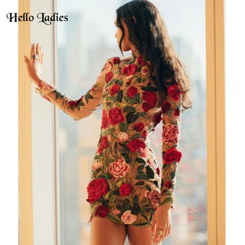 HL Elegantné Luxusné Kvetinové Výšivky Ženy Mini Šaty 2023 Nové Jeseň Žena Vidieť Cez Dlhý Rukáv Pol Vysoký Golier Y2K Šaty